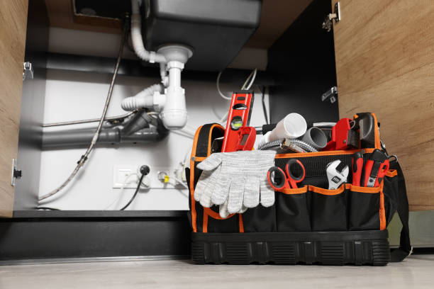 Best Drain Cleaning Services  in Wrightwood, CA