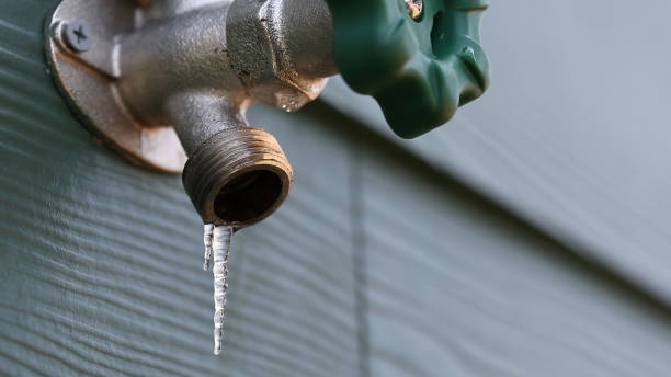 Best Shower Repair Services  in Wrightwood, CA