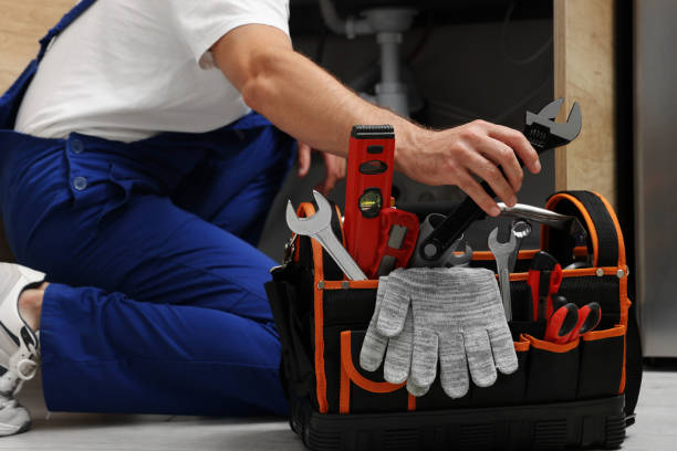 Best Local Plumber Services  in Wrightwood, CA